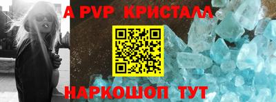 гашик Малгобек