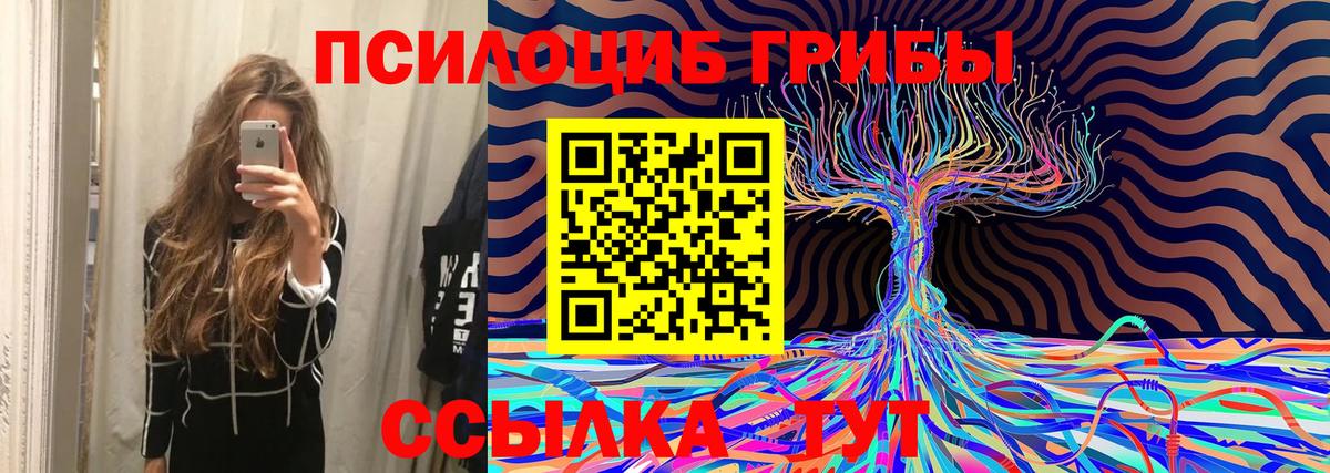 Галлюциногенные грибы Cubensis Ишим